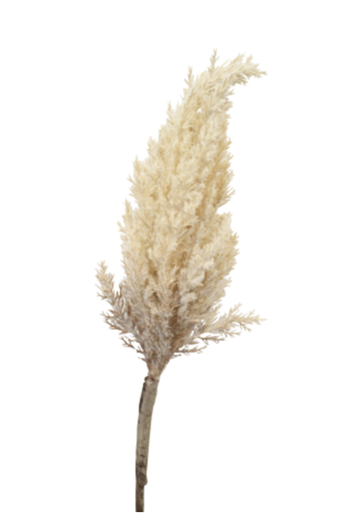 Dried-Look Astilbe Spray - Brown