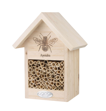 Bee House with Bee Apoidea