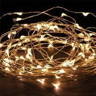 5m Silver Wire Seed Lights (AA)