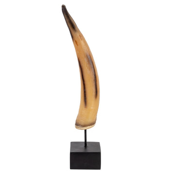 Ox Horn On Stand - Small