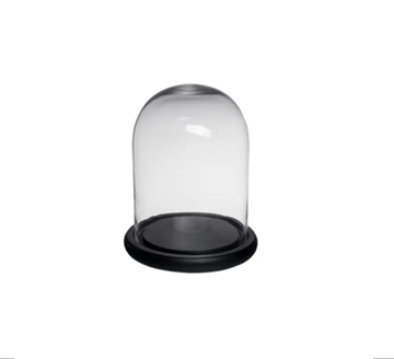 Small Dome with Black Base