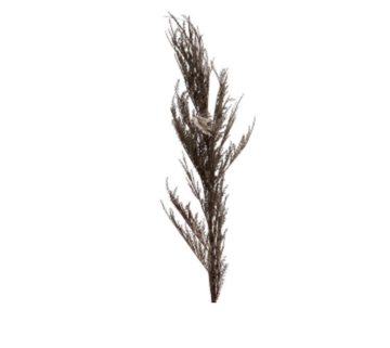 Soft Natural Coral Reed Spray - Dark