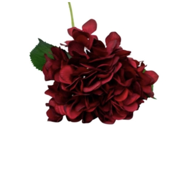 Hydrangea Dark Red - 67cm