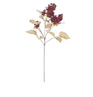 Dried Look Lilac - Burgundy