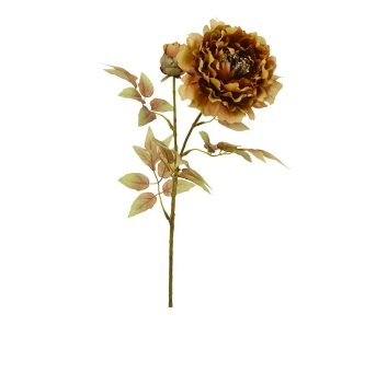 Dried Look Peach Peony - Coffee