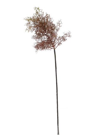 Seagrass Stem - Brown Mauve