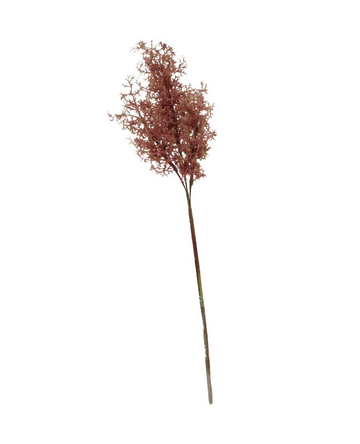 Smokebush Spray - Burgundy