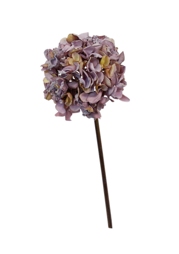 Dried Look Hydrangea - Lavender