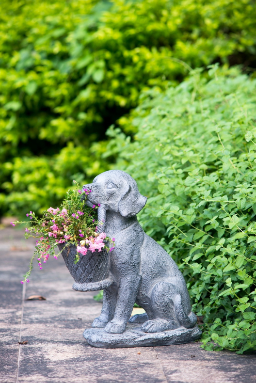 Dog Planter