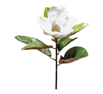 Magnolia White