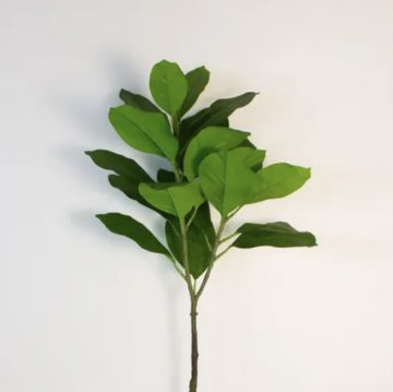 Magnolia Spray - Green