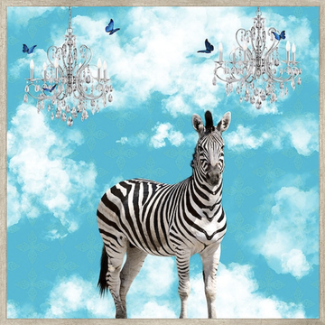 Box Frame - Zebra In The Clouds
