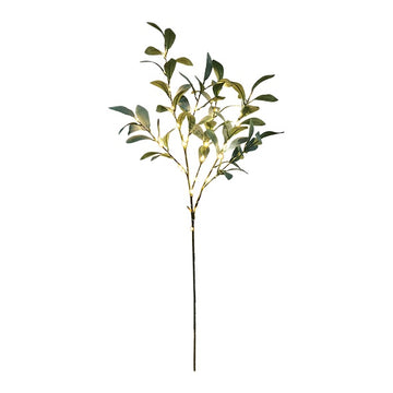 Olive Branch Light - Large