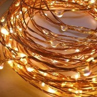 5m Copper Wire Seed Lights