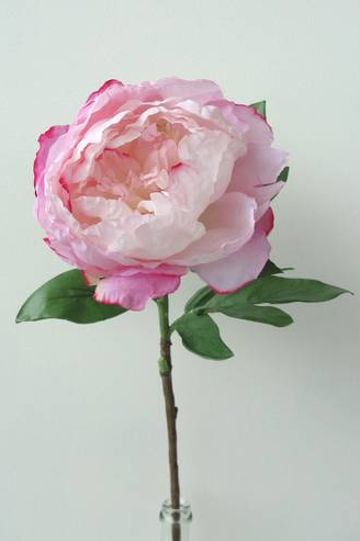 Roosevelt Peony Light Pink