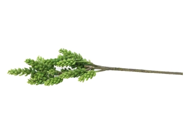 Succulent Branch - 49cm