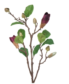 Magnolia Branch - Dark Purple