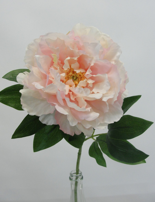 Duchess Peony Spray Soft Pink