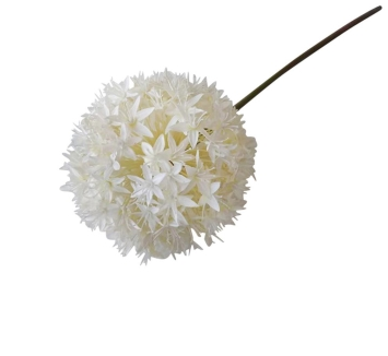 White Allium Flower